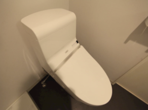名古屋市北区収益一棟売アパート居室トイレ